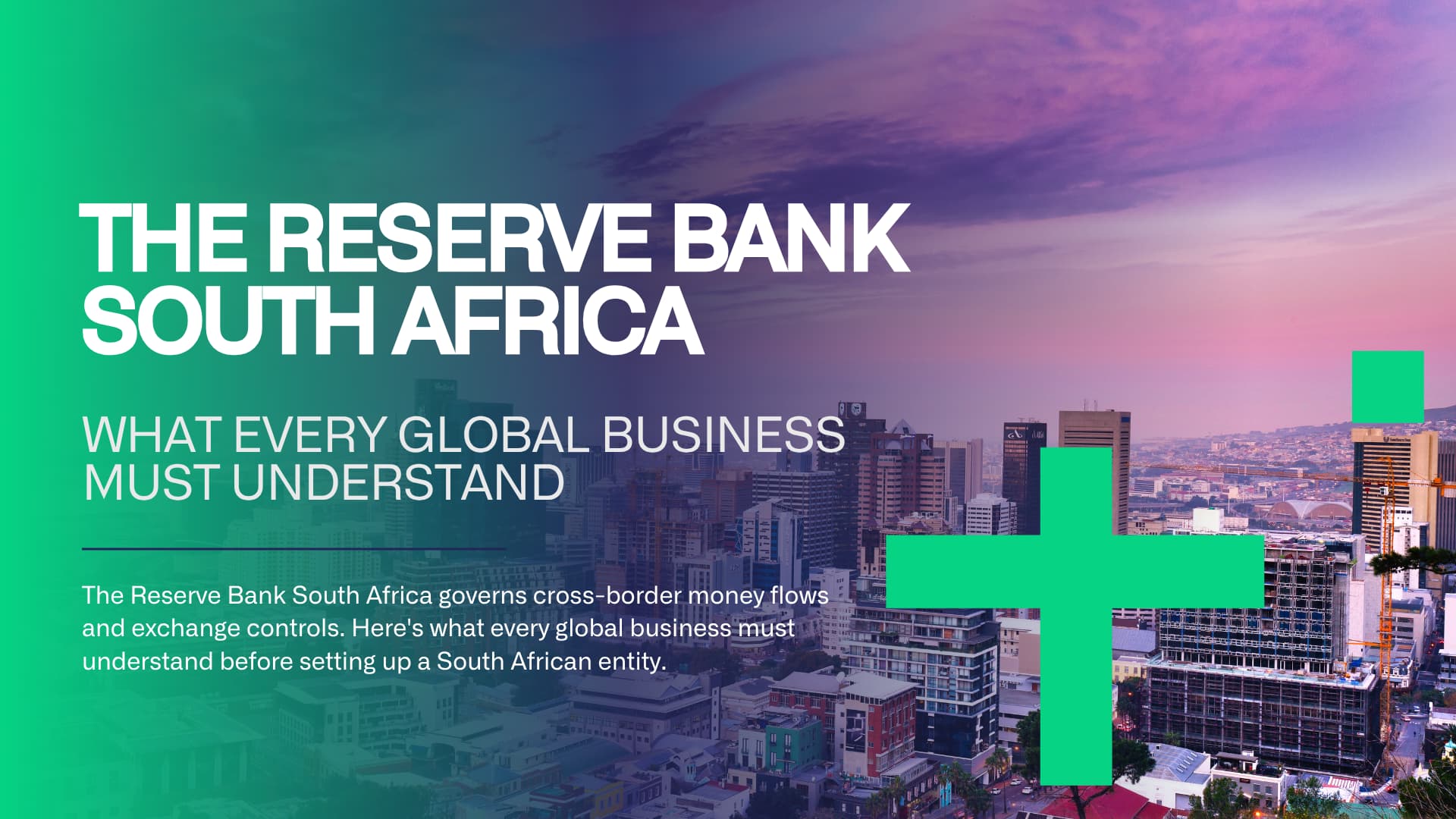 Business professional reviewing Reserve Bank South Africa exchange control requirements